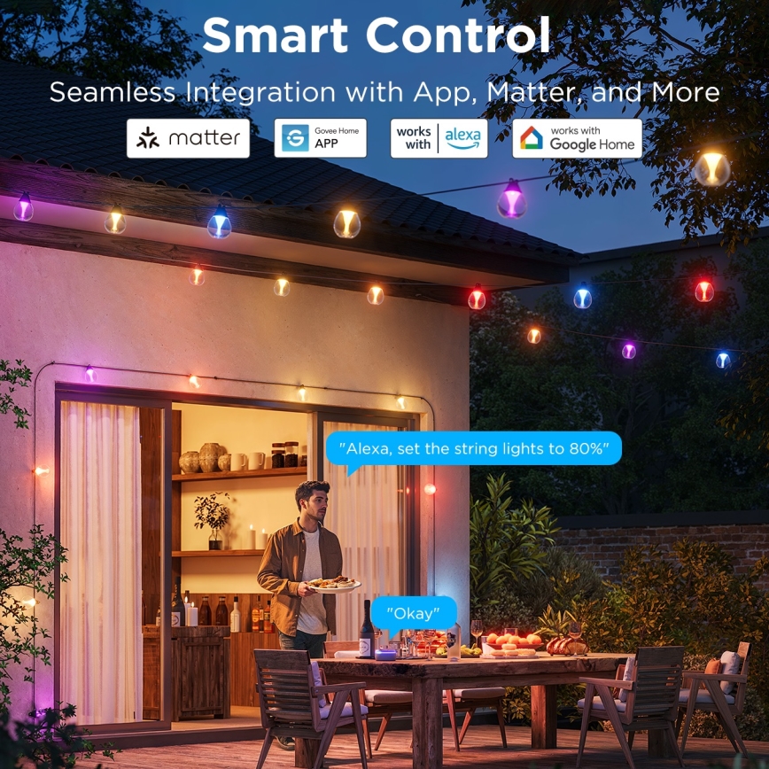 Govee - LED RGBICW Himmennettävä ulko koristeellinen ketju LED/24W/230V IP67 2700-6500K Wi-Fi