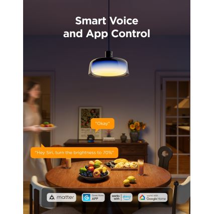 Govee - LED RGBICWW himennettävä vaijeririippuvalaisin LED/21W/230V Matter Wi-Fi