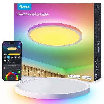 Govee - LED RGBICWW Himmennettävä kattovalaisin LED/29W/230V Ø 30 cm mattapintainen Wi-Fi