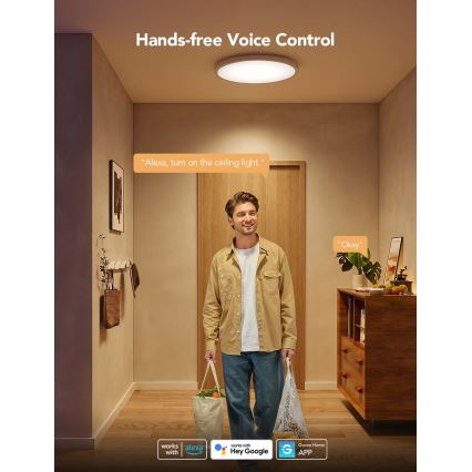 Govee - LED RGBICWW himmennettävä kattovalaisin LED/29W/230V, halkaisija 30 cm, mattapintainen, Wi‑Fi