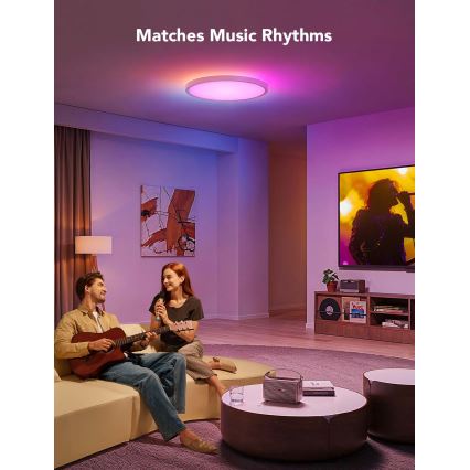 Govee - LED RGBICWW himmennettävä kattovalaisin LED/29W/230V, halkaisija 30 cm, mattapintainen, Wi‑Fi