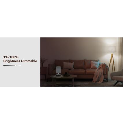 Govee - LED RGBWW Himmennettävä lamppu Smart E27/9W/230V 2700-6500K Wi-Fi