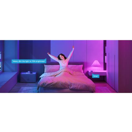 Govee - LED RGBWW Himmennettävä lamppu Smart E27/9W/230V 2700-6500K Wi-Fi
