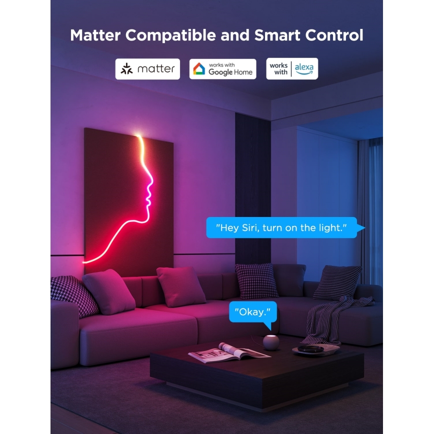Govee - Neon 2 MATTER taivutettava LED-nauha 3m RGBIC Wi-Fi IP67
