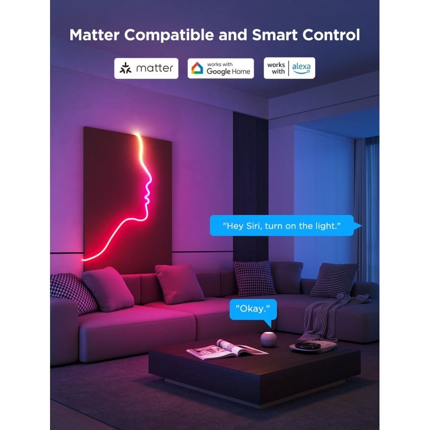 Govee - Neon 2 MATTER taivutettava LED-nauha 5m RGBIC Wi-Fi IP67
