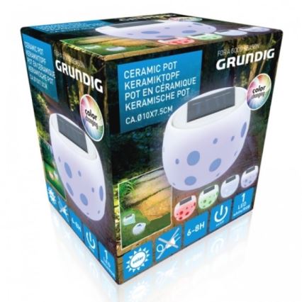 Grundig - LED-aurinkovalaistus 2xLED/0,06W/1,2V