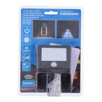 Grundig - LED-aurinkovalo anturilla 1xLED/0,25W/1xAA