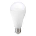 GS LED-lamppu E27/17W/230V 6500K
