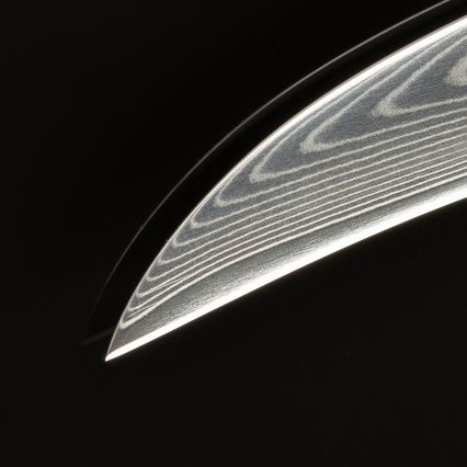 Gudaro - Damaskiteräinen keittiöhedelmäveitsi FENG 3,5, 67 teräskerrosta, pituus 9,5cm