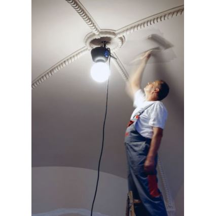 Helios 306-WLG223 - LED-ulkovalaistus WORK GLOBE 2 LED/23W/230V IP44