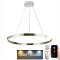 Himmennettävä LED-kattokruunu johdossa LED/100W/230V 3000-6500K halkaisija 80 cm + kauko-ohjaus