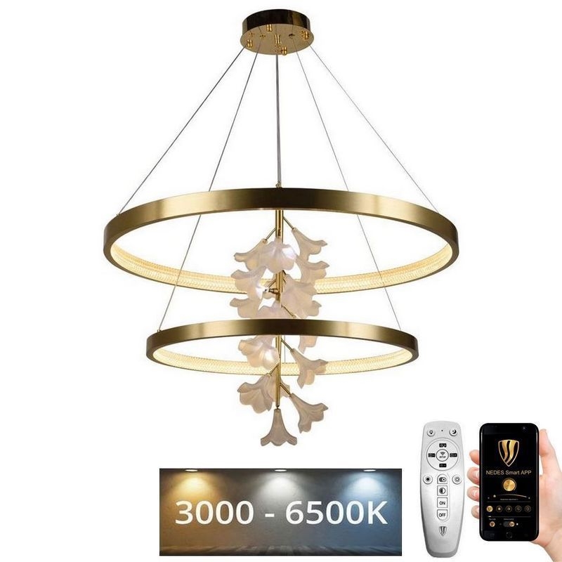 Himmennettävä LED-kattokruunu johdossa LED/100W/230V 3000-6500K + kauko-ohjaus