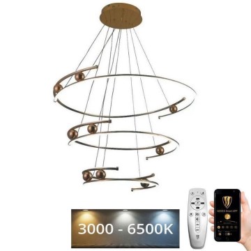 Himmennettävä LED-kattokruunu johdossa LED/170W/230V 3000-6500K + kauko-ohjaus