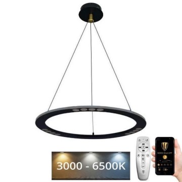 Himmennettävä LED-kattokruunu johdossa LED/40W/230V 3000-6500K + kauko-ohjaus