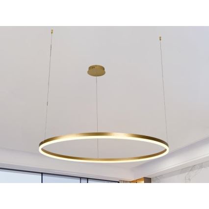 Himmennettävä LED-kattokruunu johdossa LED/55W/230V 3000-6500K + kauko-ohjaus