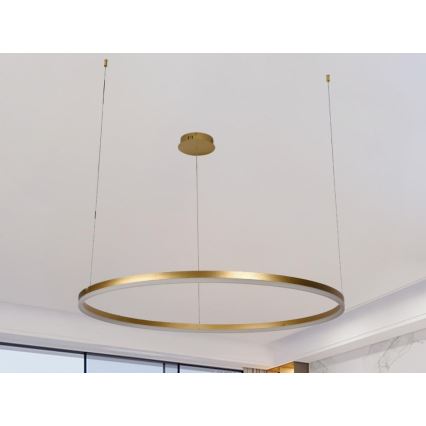 Himmennettävä LED-kattokruunu johdossa LED/55W/230V 3000-6500K + kauko-ohjaus