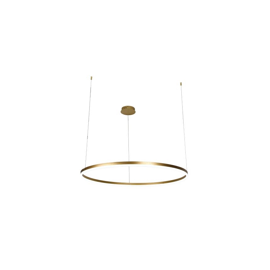 Himmennettävä LED-kattokruunu johdossa LED/55W/230V 3000-6500K + kauko-ohjaus
