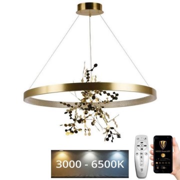 Himmennettävä LED-kattokruunu johdossa LED/55W/230V 3000-6500K kulta + kauko-ohjaus