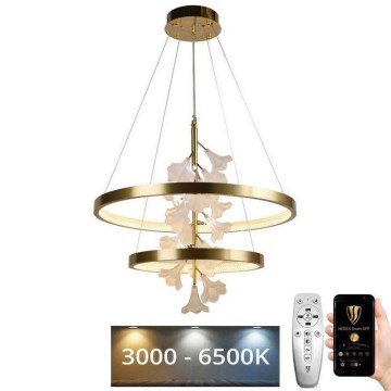 Himmennettävä LED-kattokruunu johdossa LED/70W/230V 3000-6500K + kauko-ohjaus