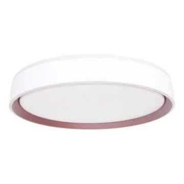 Himmennettävä LED-kattovalaisin ääniohjauksella OPAL LED/48W/230V 2700-6500K valkoinen + kauko-ohjaus