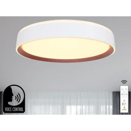 Himmennettävä LED-kattovalaisin ääniohjauksella OPAL LED/48W/230V 2700-6500K valkoinen + kauko-ohjaus
