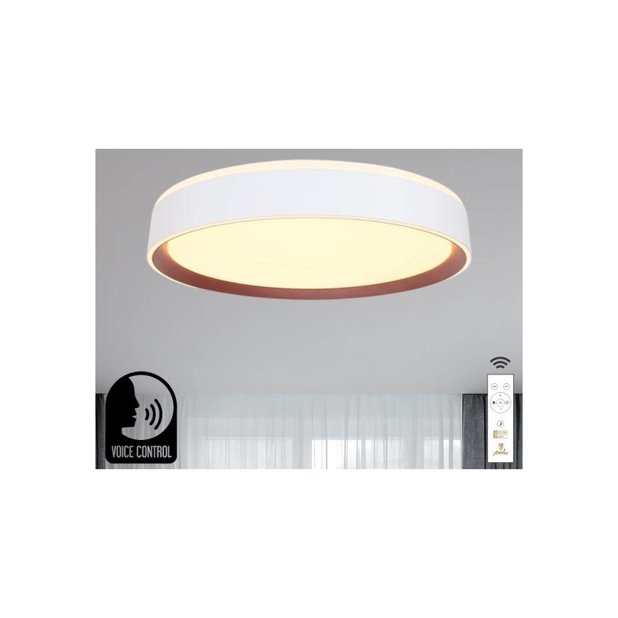 Himmennettävä LED-kattovalaisin ääniohjauksella OPAL LED/48W/230V 2700-6500K valkoinen + kauko-ohjaus