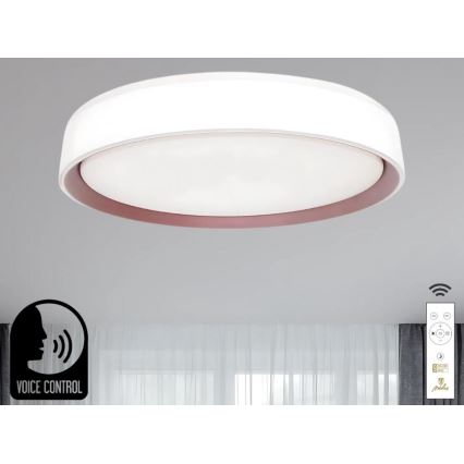 Himmennettävä LED-kattovalaisin ääniohjauksella OPAL LED/48W/230V 2700-6500K valkoinen + kauko-ohjaus