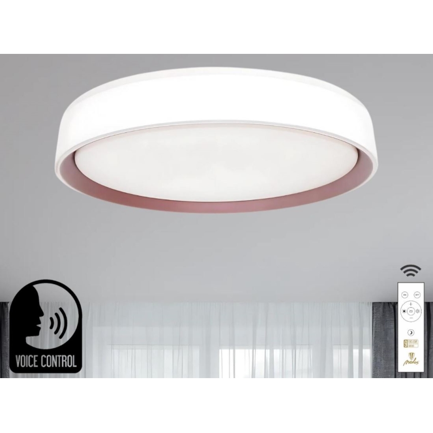 Himmennettävä LED-kattovalaisin ääniohjauksella OPAL LED/48W/230V 2700-6500K valkoinen + kauko-ohjaus