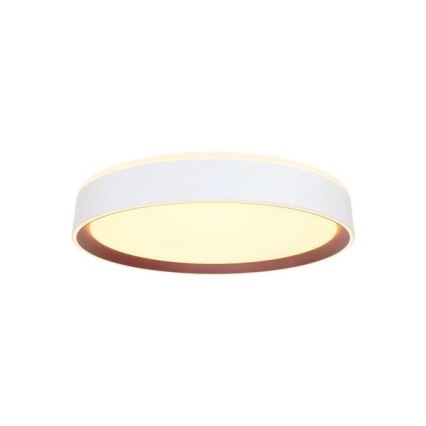 Himmennettävä LED-kattovalaisin ääniohjauksella OPAL LED/48W/230V 2700-6500K valkoinen + kauko-ohjaus
