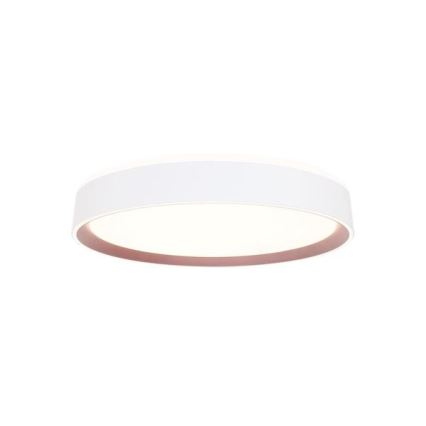 Himmennettävä LED-kattovalaisin ääniohjauksella OPAL LED/48W/230V 2700-6500K valkoinen + kauko-ohjaus