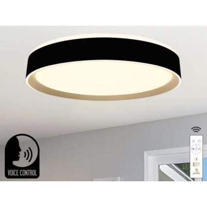 Himmennettävä LED-kattovalaisin ääniohjauksella OPAL LED/48W/230V 2700-6500K musta + kauko-ohjaus