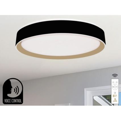 Himmennettävä LED-kattovalaisin ääniohjauksella OPAL LED/48W/230V 2700-6500K musta + kauko-ohjaus