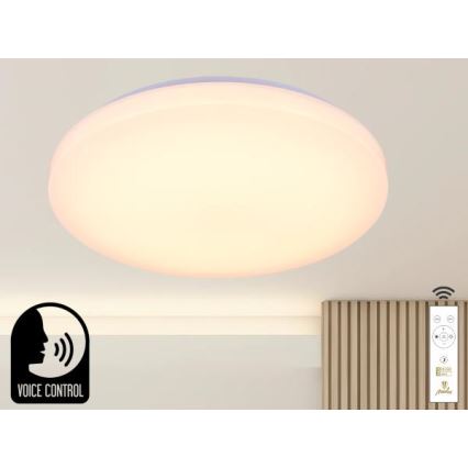 Himmennettävä LED-kattovalaisin ääniohjauksella OPAL LED/48W/230V 2700-6500K valkoinen + kauko-ohjaus