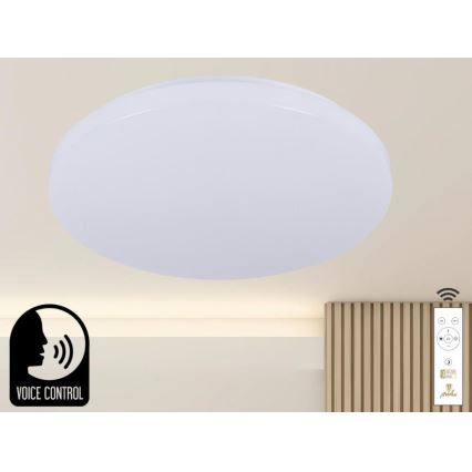 Himmennettävä LED-kattovalaisin ääniohjauksella OPAL LED/48W/230V 2700-6500K valkoinen + kauko-ohjaus