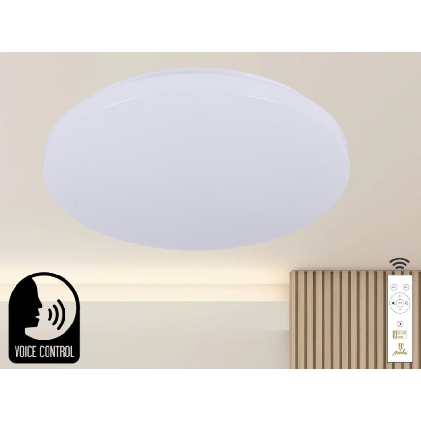 Himmennettävä LED-kattovalaisin ääniohjauksella OPAL LED/48W/230V 2700-6500K valkoinen + kauko-ohjaus