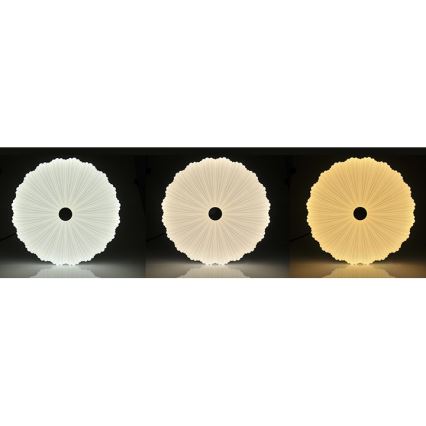 Himmennettävä LED-kattovalaisin FLOWER LED/36W/230V + Kauko-ohjaus