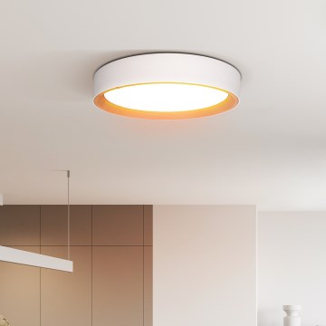 Himmennettävä LED-kattovalaisin LARIOS LED/48W/230V 3000-6500K halkaisija 39 cm valkoinen + kauko-ohjaus