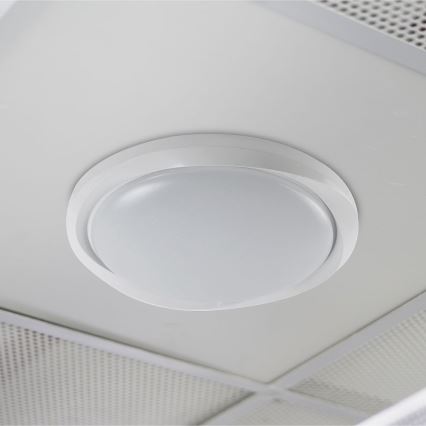 Himmennettävä LED-kattovalaisin LED/60W/230V 3000-6500K 49,2 cm valkoinen + kauko-ohjaus