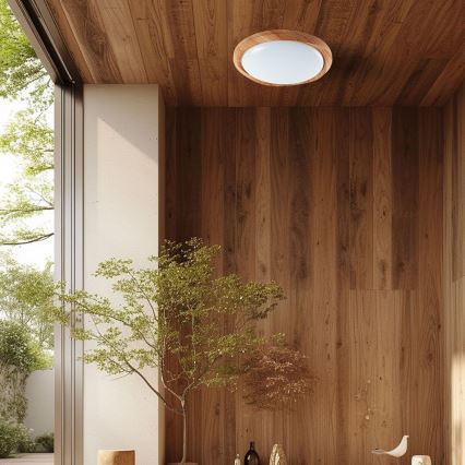 Himmennettävä LED-kattovalaisin LED/60W/230V 3000-6500K + kauko-ohjaus