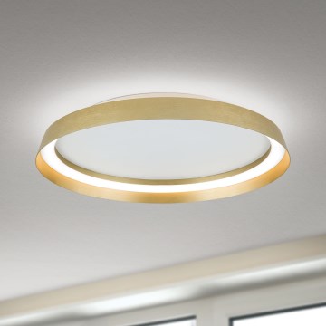 Himmennettävä LED-kattovalaisin MANTA LED/38W/230V 2700/3000/4000K halkaisija 45 cm kulta