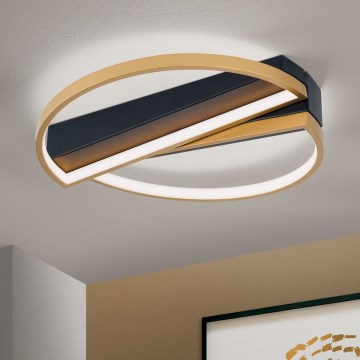 Himmennettävä LED-kattovalaisin OLGA LED/28W/230V kulta/musta