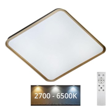 Himmennettävä LED-kattovalaisin UNA LED/60W/230V 2700-6500K 50x50 cm + kauko-ohjaus