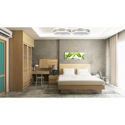 Himmennettävä LED-kattovalo SMART CORAL GOLD LED/24W/230V valkoinen/kulta +kaukosäädin