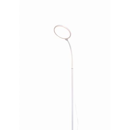Himmennettävä LED-lattiavalaisin 2in1 LED/10W/230V valkoinen