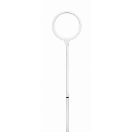 Himmennettävä LED-lattiavalaisin 2in1 LED/10W/230V valkoinen