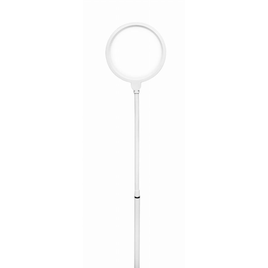 Himmennettävä LED-lattiavalaisin 2in1 LED/10W/230V valkoinen
