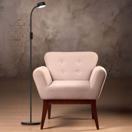 LED Himmennettävä kosketus lattialamppu BRUNO LED/3W/230V 3000/4000/6500K musta