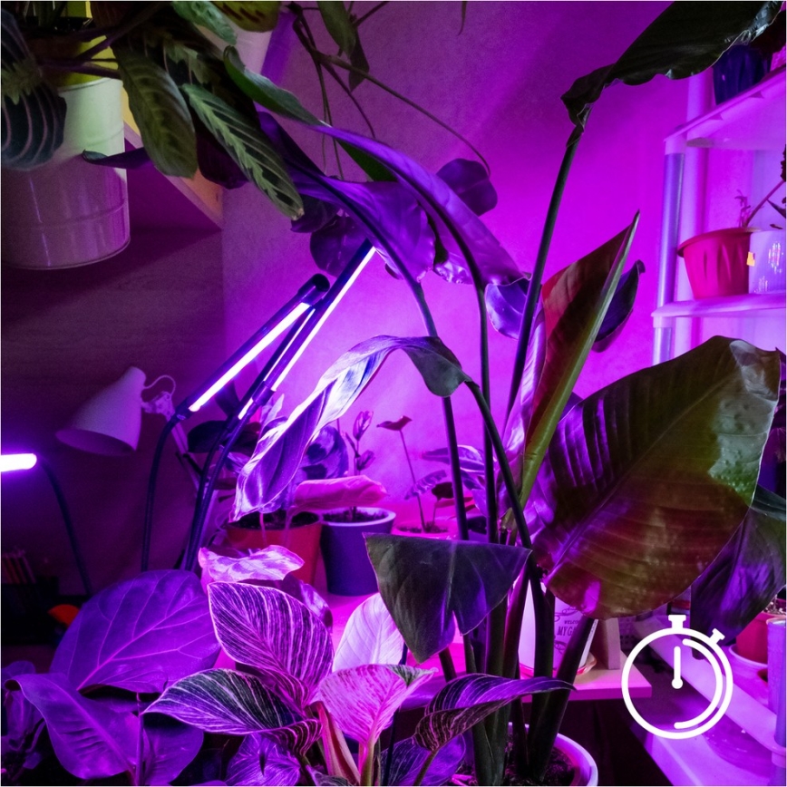 LED Himmennettävä flexible lattialamppu kasvien kasvattamiseen VITARO 4xLED/7,5W/230V musta