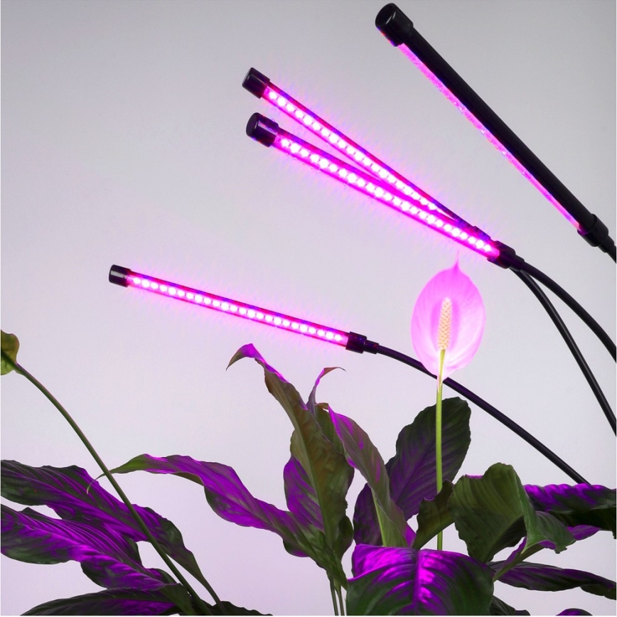 LED Himmennettävä flexible lattialamppu kasvien kasvattamiseen VITARO 4xLED/7,5W/230V musta