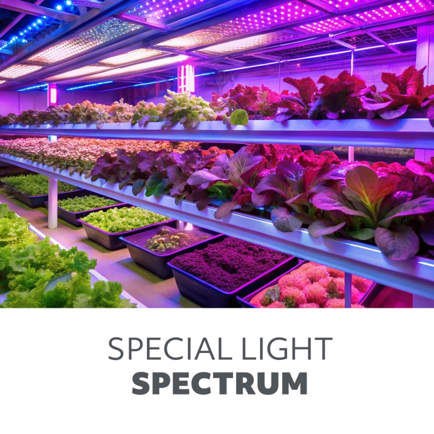 LED Himmennettävä flexible lattialamppu kasvien kasvattamiseen VITARO 4xLED/7,5W/230V musta